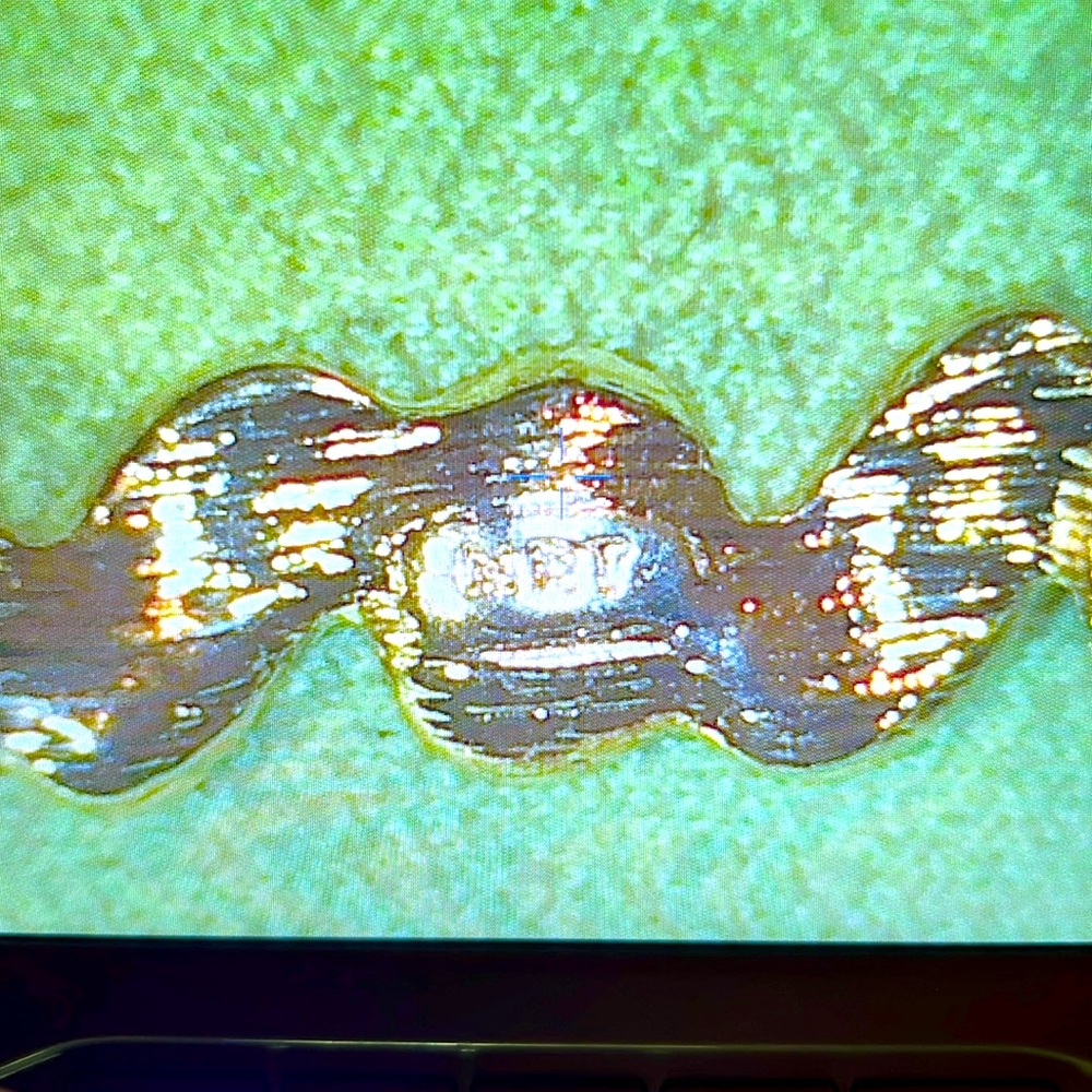 🌟NRT jewelry bracelet